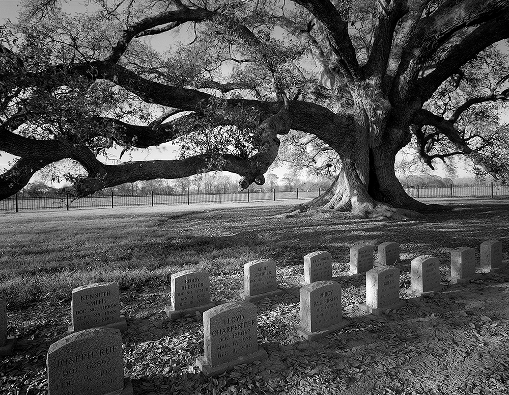 louisiana cemeteries