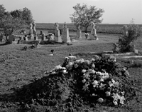 La Jarita Cemetery