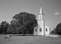 Saint Luke Catholic Church