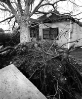 Hurricane Katrina - New Orleans
